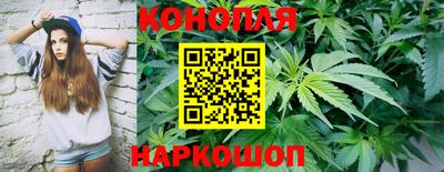 стафф Ярославль