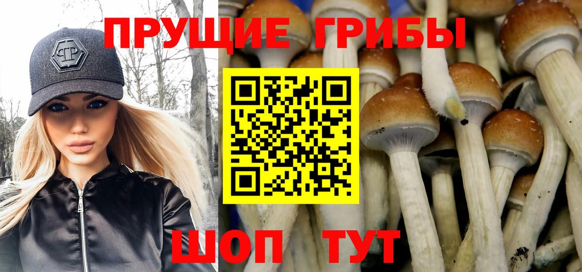 Псилоцибиновые грибы GOLDEN TEACHER  Вход с VPN  Галлюциногенные грибы Cubensis  Богородицк 